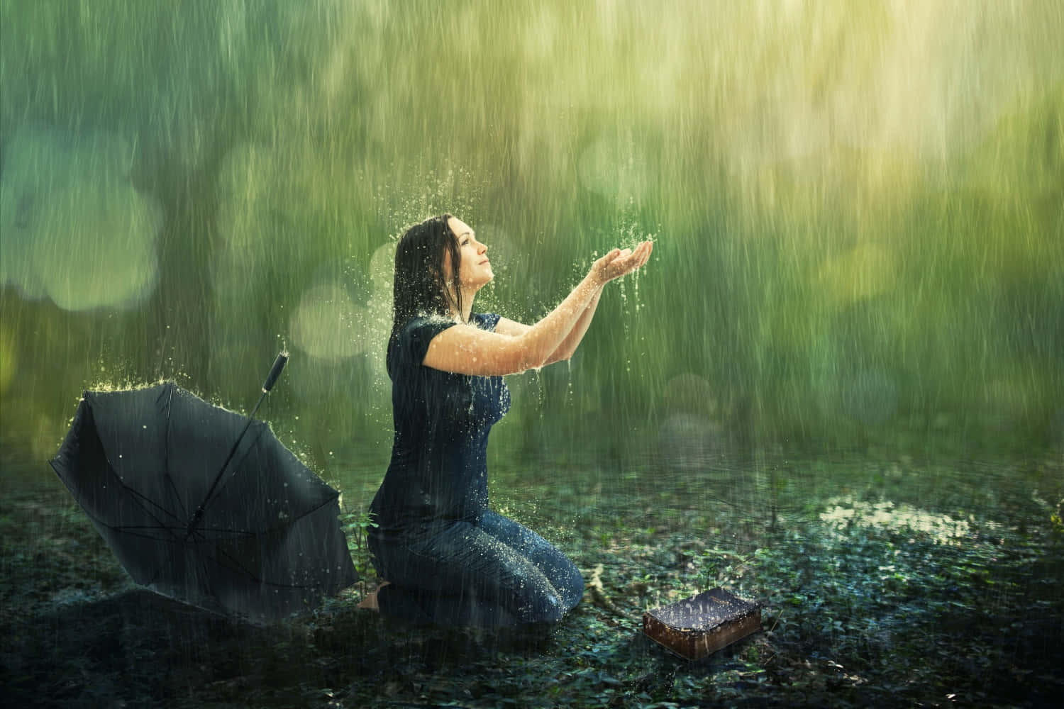 一個女人在雨中撐傘跪下 壁紙