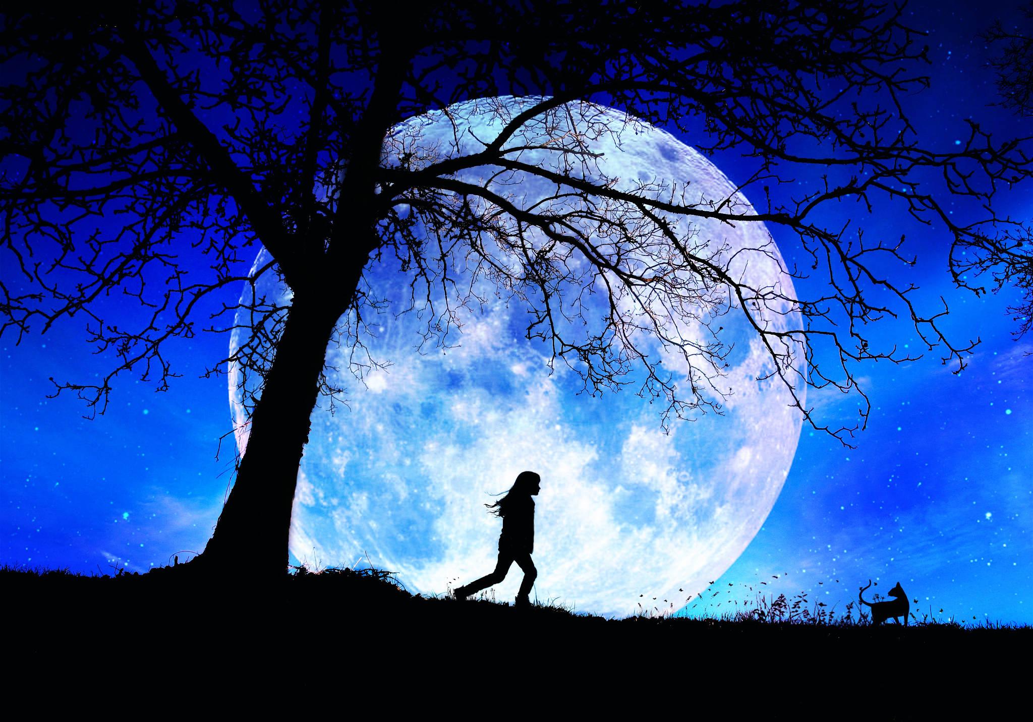 夜空 桌布 壁紙 — 一個女孩和一隻狗的剪影，在星空夜空背景下，光禿禿的樹枝框住一輪巨大的月亮下行走。
