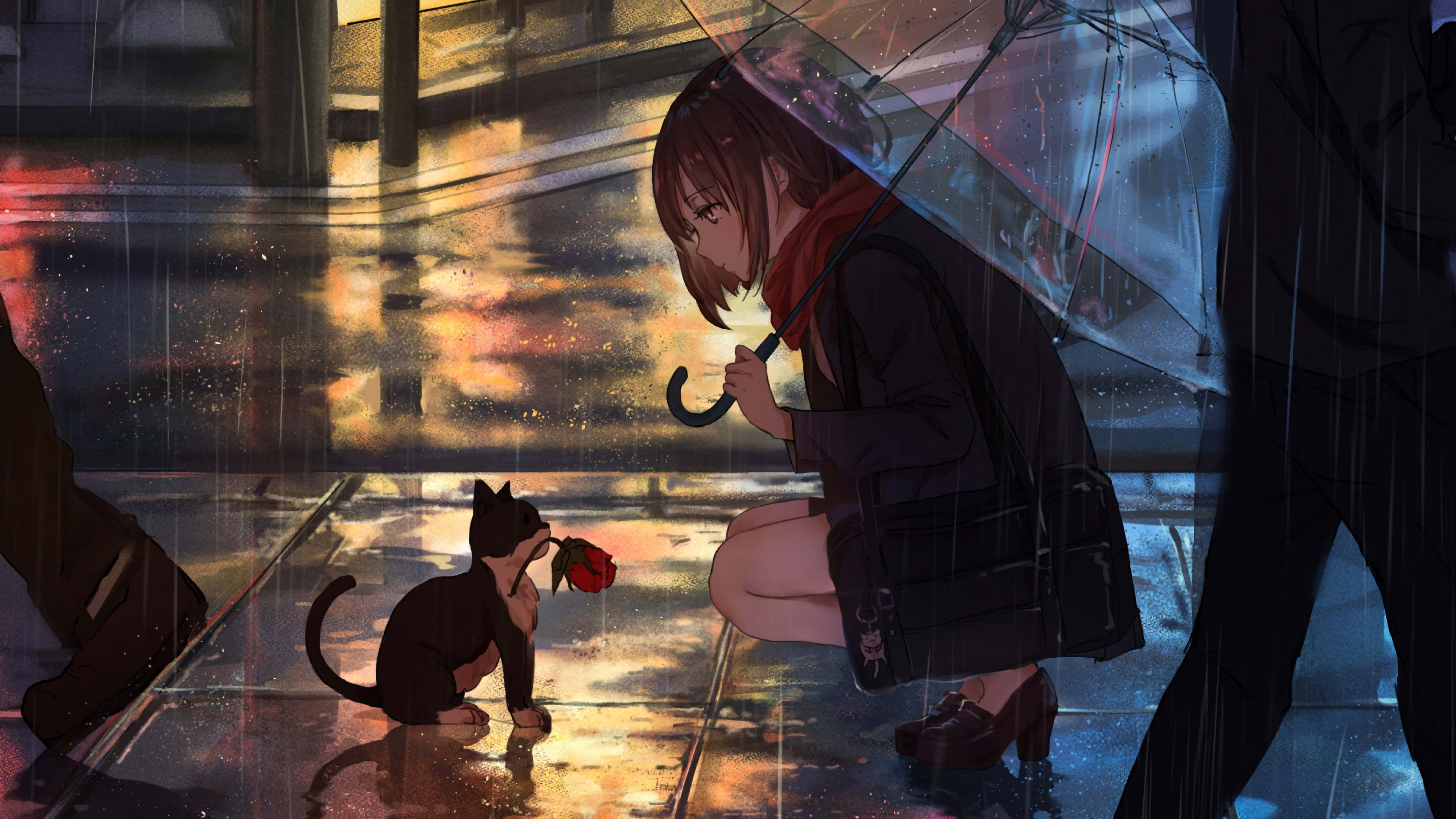 動漫女孩 桌布 壁紙 — 一個女孩跪在雨中撐著傘，一隻小黑貓在濕漉漉的城市街道上向她獻上一朵紅玫瑰。