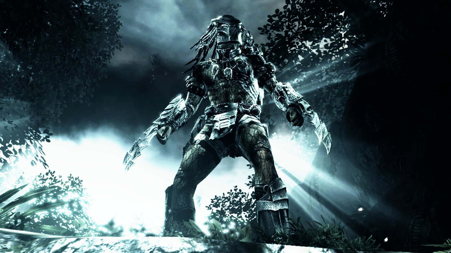 Wolf Predator 桌布 壁紙 — 一個威脅性的鐵血戰士戰士站在黑暗的叢林中，被戲劇性的背光和發光的綠光照亮。