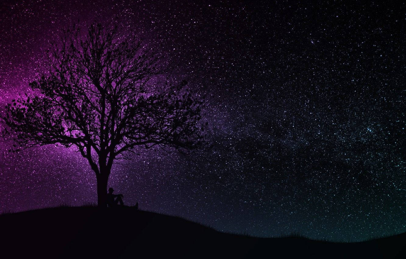 星星 桌布 壁紙 — 一個孤獨的人坐在山丘上光禿禿的樹下，背景是充滿活力的紫色和藍色星空夜景。
