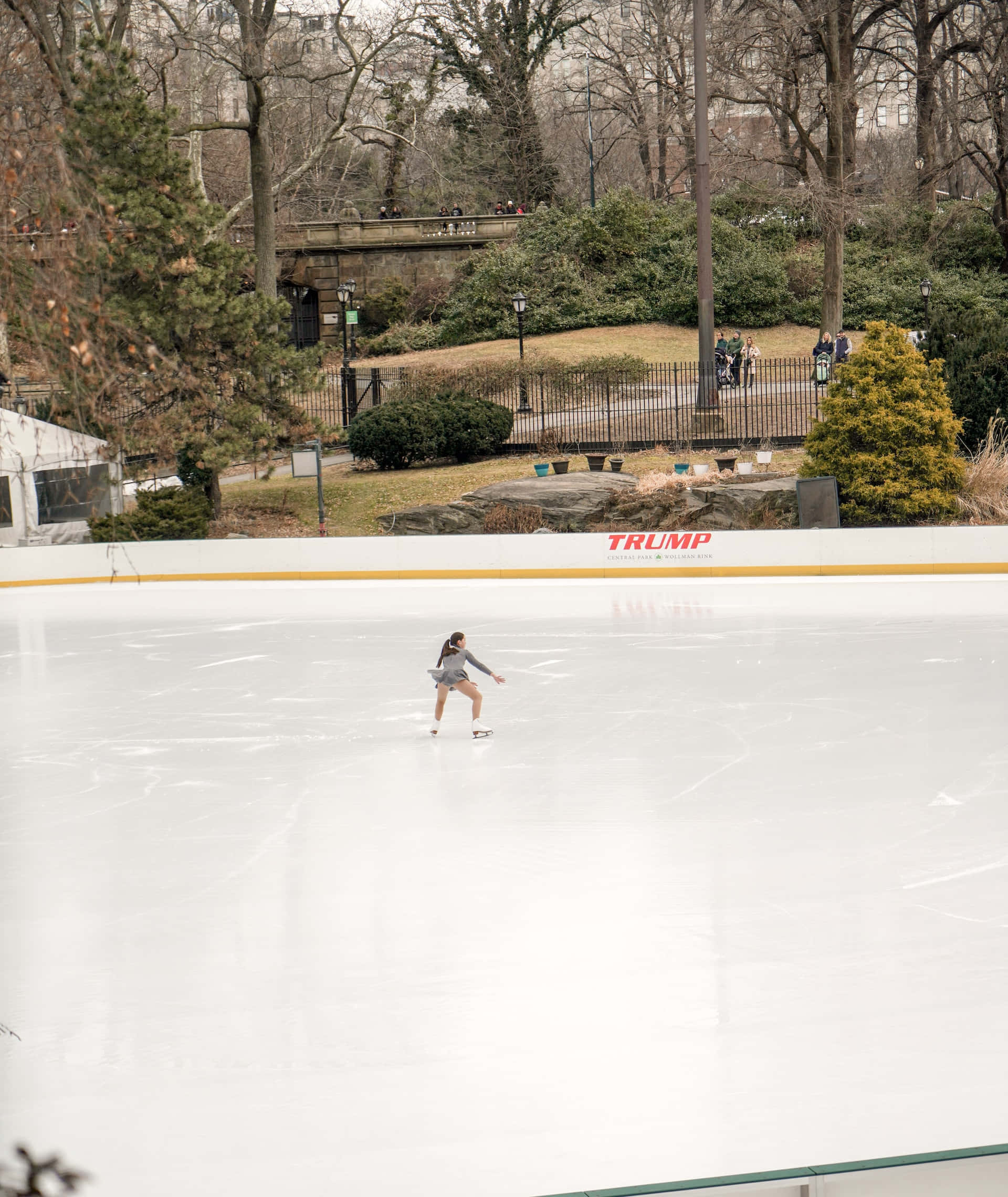 Ice Rink 桌布 壁紙 — 一個孤獨的身影在冬季溜冰場上優雅地滑行，周圍是光禿禿的樹木和遠處的公園遊客。