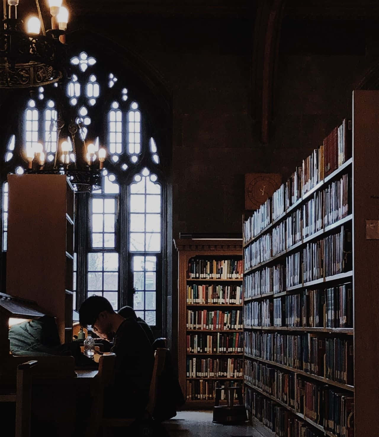 Dark Academia Aesthetic 桌布 壁紙 — 一個孤獨的身影在燭光下學習，身處一個昏暗的哥德式圖書館，內有高聳的書架和彩繪玻璃窗。