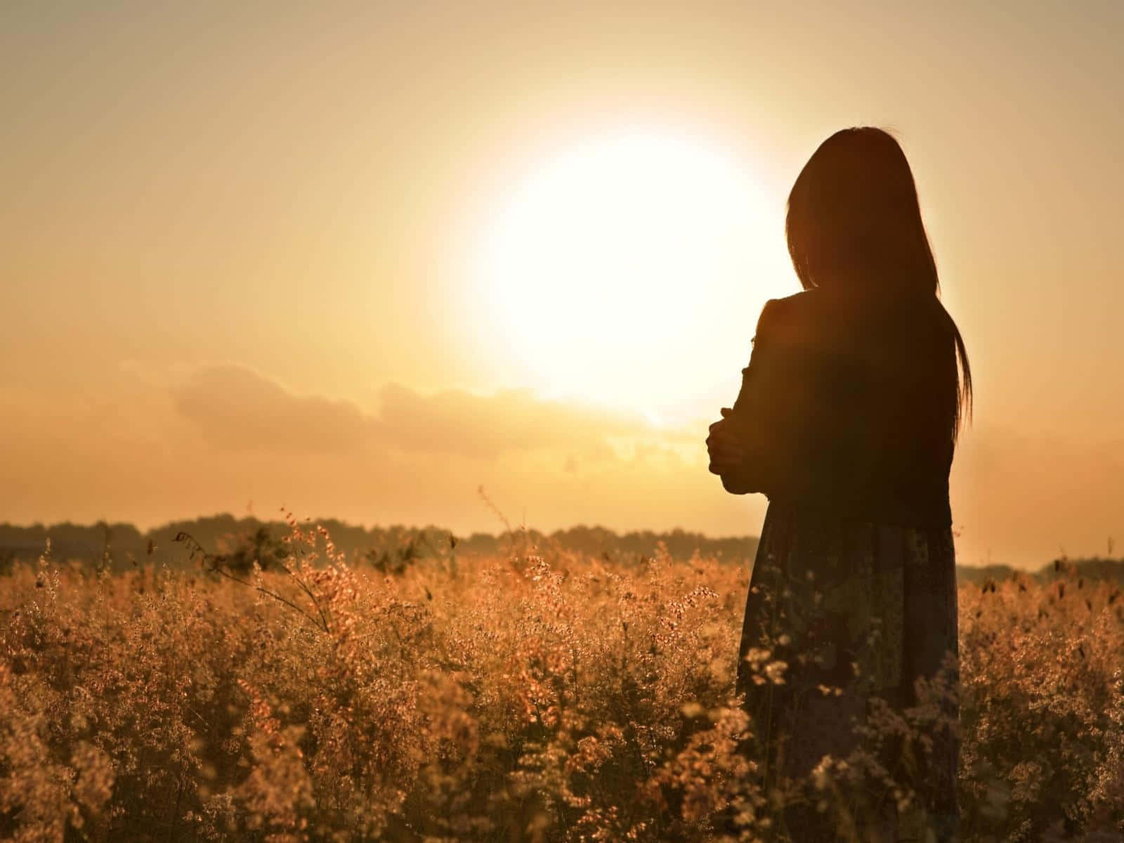 Sunset Silhouette 桌布 壁紙 — 一個孤獨的身影在金色田野中形成剪影，夕陽在他們身後落下，將溫暖的光線灑向地平線。