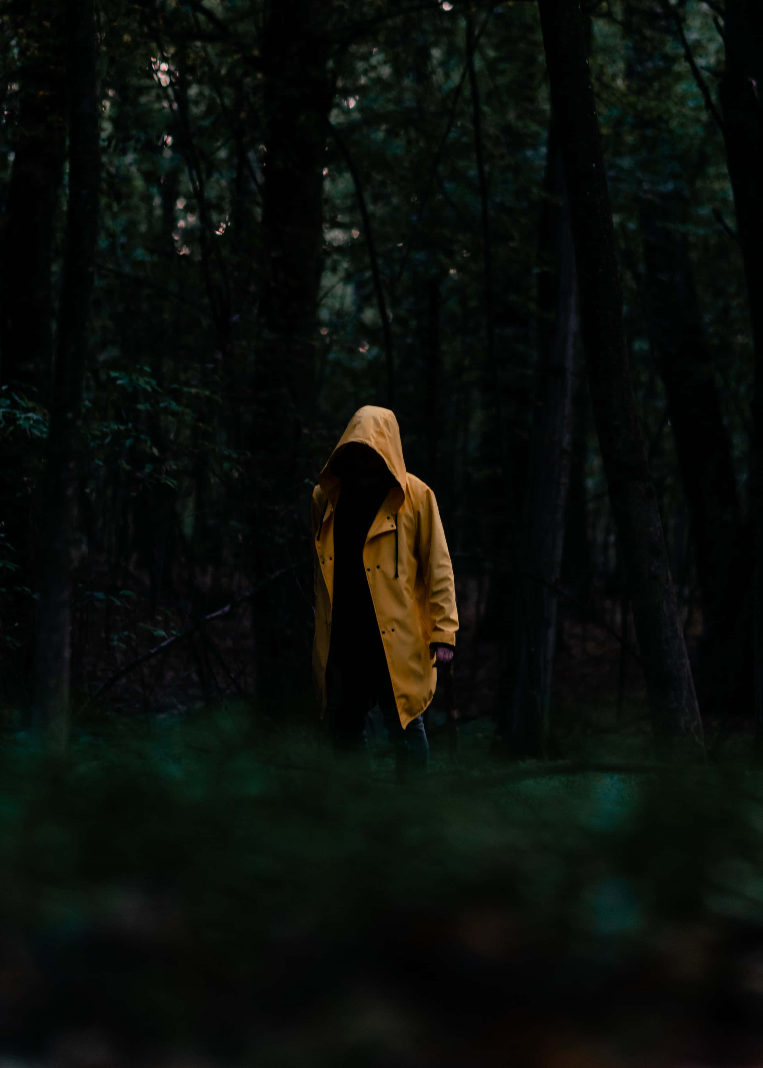 Yellow Raincoat 桌布 壁紙 — 一個孤獨的身影穿著鮮黃色連帽外套，走過一片黑暗、霧氣瀰漫、樹木高聳的森林。