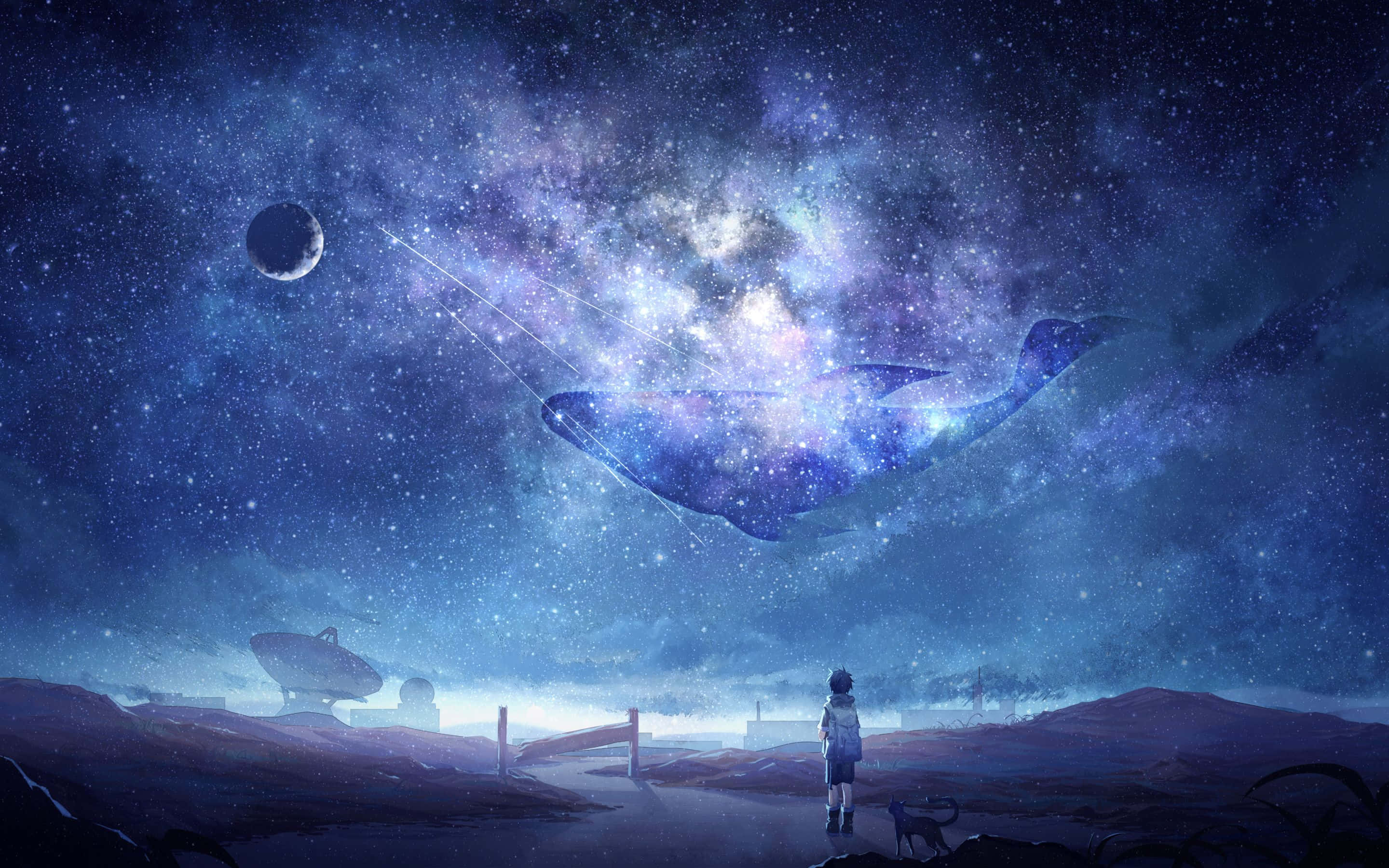 Fantasy Anime 桌布 壁紙 — 一個孤獨的身影站在荒涼的道路上，仰望一條在月光下穿越星雲的宇宙鯨魚。
