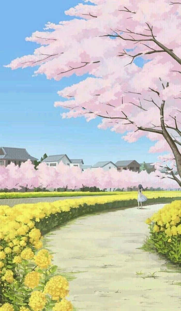 Beautiful Spring 桌布 壁紙 — 一個孤獨的身影走在一條蜿蜒的小路上，小路兩旁開滿了鮮豔的黃色花朵，上方是盛開的粉紅色櫻花樹冠。