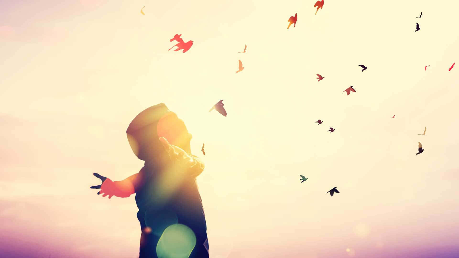 Contentment 桌布 壁紙 — 一個孩子在溫暖的日落天空下剪影，釋放彩色紙鳥到空中。