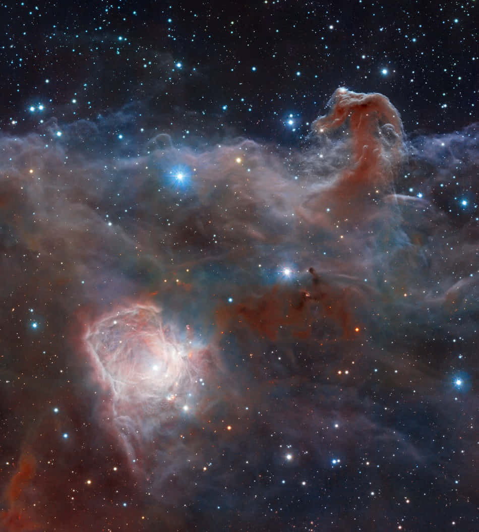 Horsehead Nebula 桌布 壁紙 — 一個宇宙星雲，在黑暗的星場背景下，有發光的紅色和藍色氣體雲以及明亮的星星。