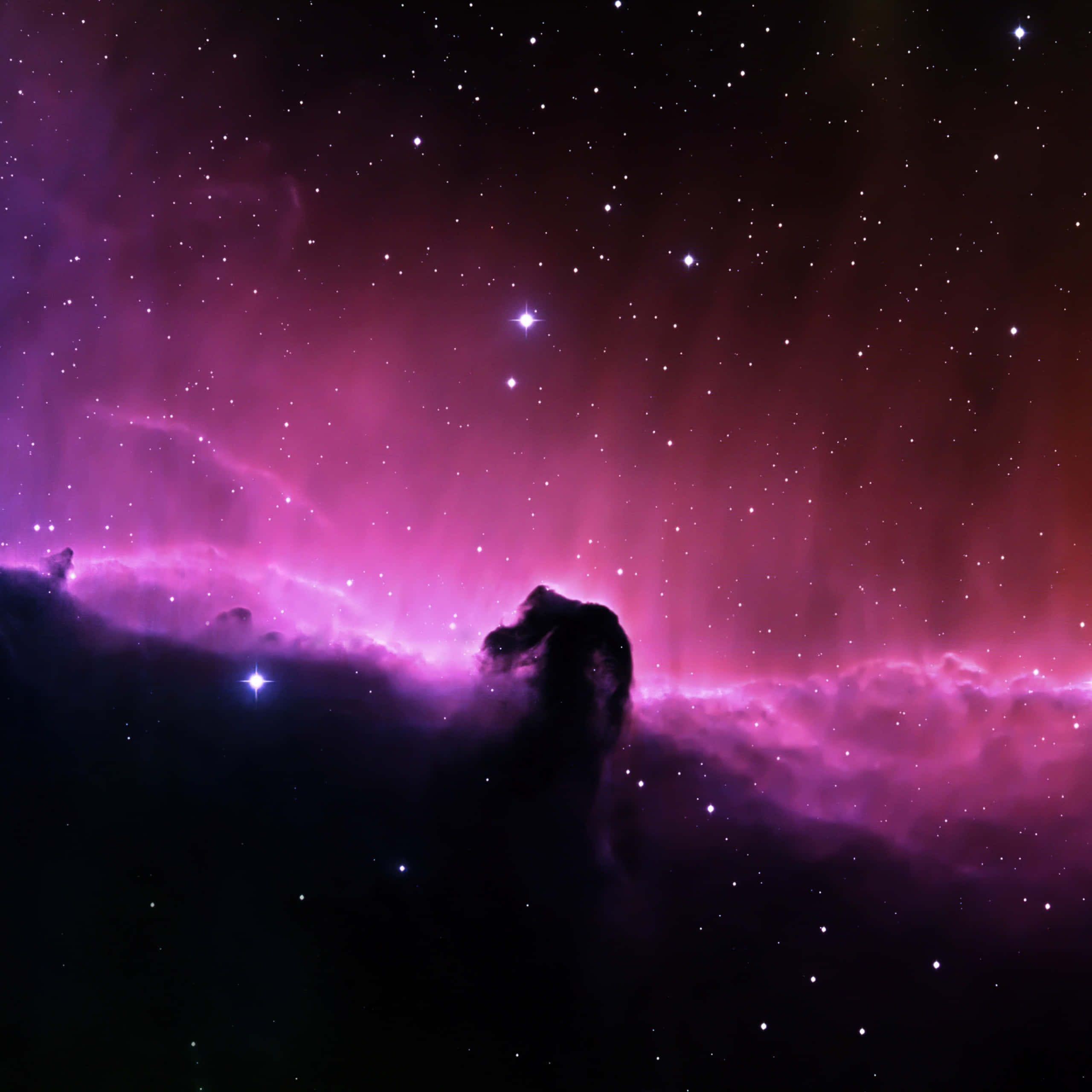 Horsehead Nebula 桌布 壁紙 — 一個宇宙星雲在星空背景下發出鮮豔的洋紅色和深紫色光芒，並有一個黑暗的宇宙柱狀剪影。