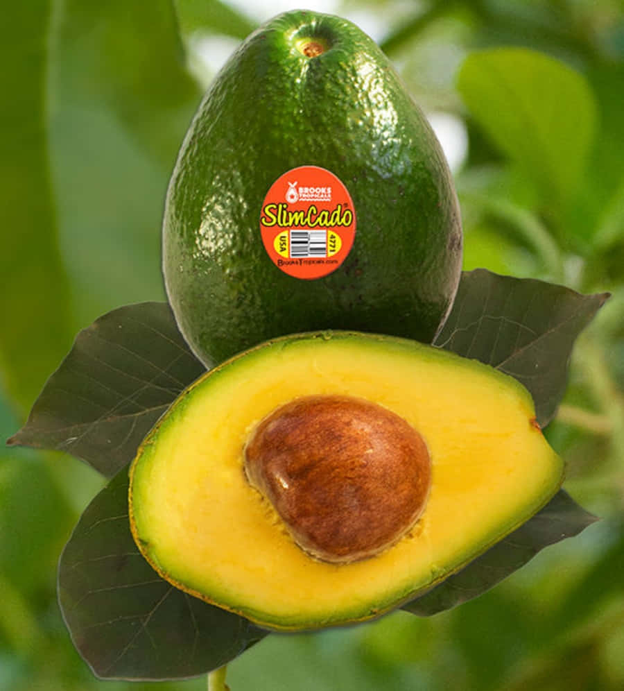 Avocado 桌布 壁紙 — 一個完整和半切的牛油果，帶有棕色果核，放在深綠色葉子上，背景是模糊的綠色。