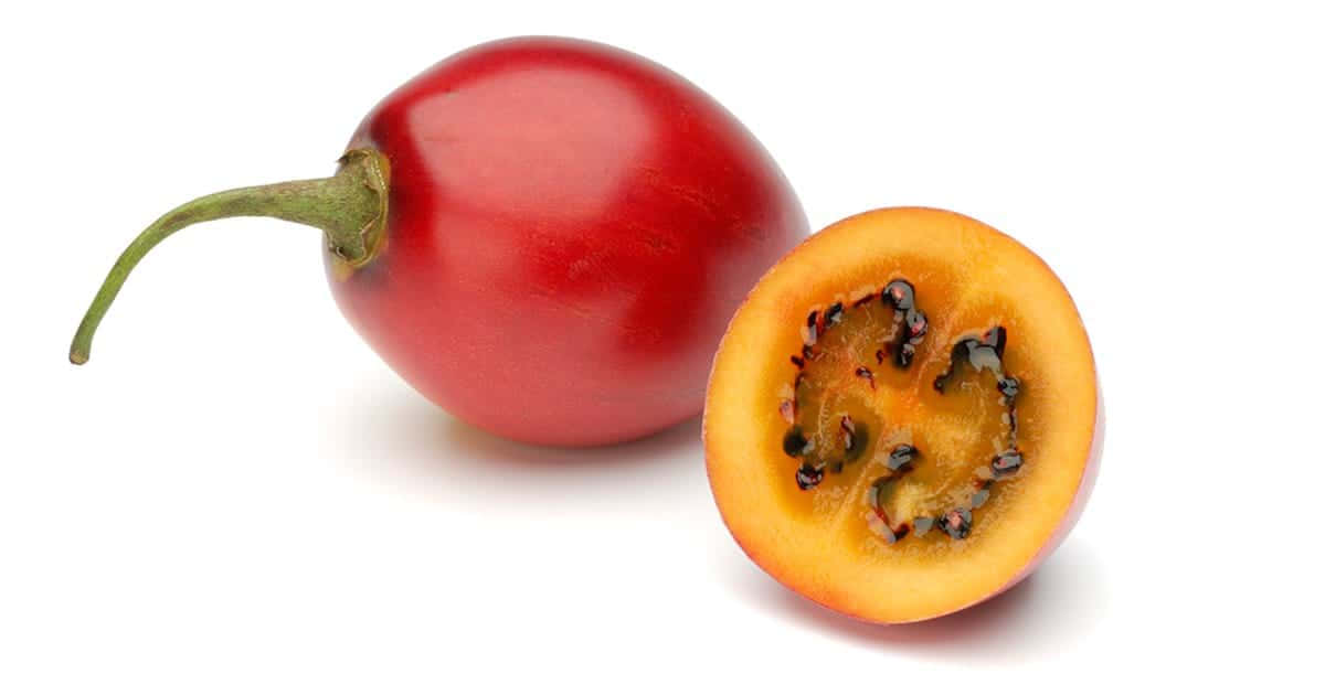 Red Fruit 桌布 壁紙 — 一個完整的紅車厘椒及其切半的部份，在純白背景上露出深色種子。
