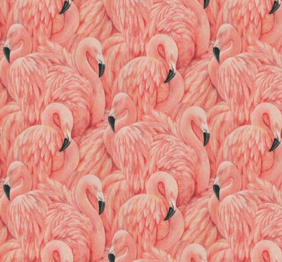 Pink Flamingos 桌布 壁紙 — 一個密集的粉紅色火烈鳥圖案，帶有黑色喙和柔軟羽毛質感，以重複的牆紙設計填滿畫面。