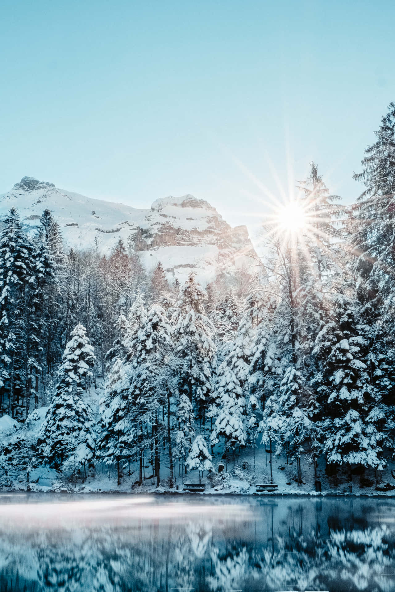 積雪的松樹和山脈倒映在晴朗陽光下的平靜湖面上。