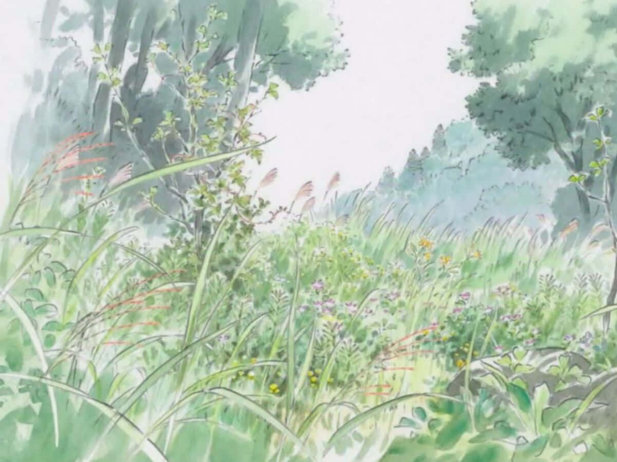 The Tale Of The Princess Kaguya 桌布 壁紙 — 一個寧靜的動漫風格森林空地，高草和野花在柔和日光下輕輕搖曳。