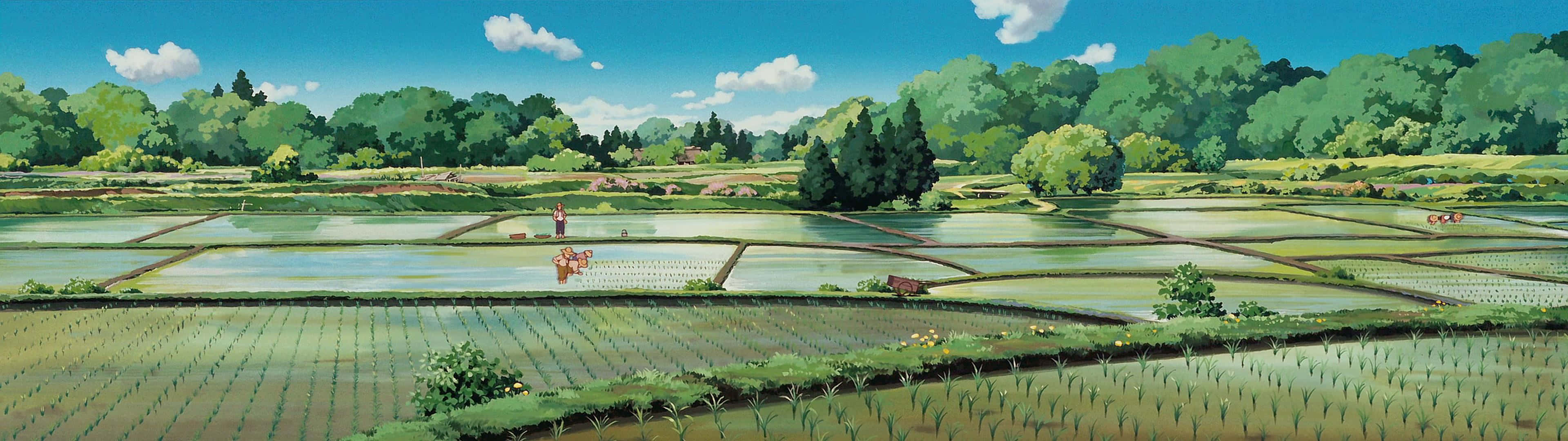 Only Yesterday 桌布 壁紙 — 一個寧靜的動漫風格風景，藍天白雲下淹水的稻田，遠處有綠色的森林。