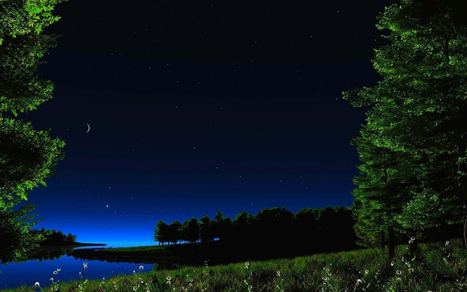 Chilly Night 桌布 壁紙 — 一個寧靜的夜晚場景，新月和星星在平靜的湖面上，周圍環繞著茂密的綠樹和蒲公英。