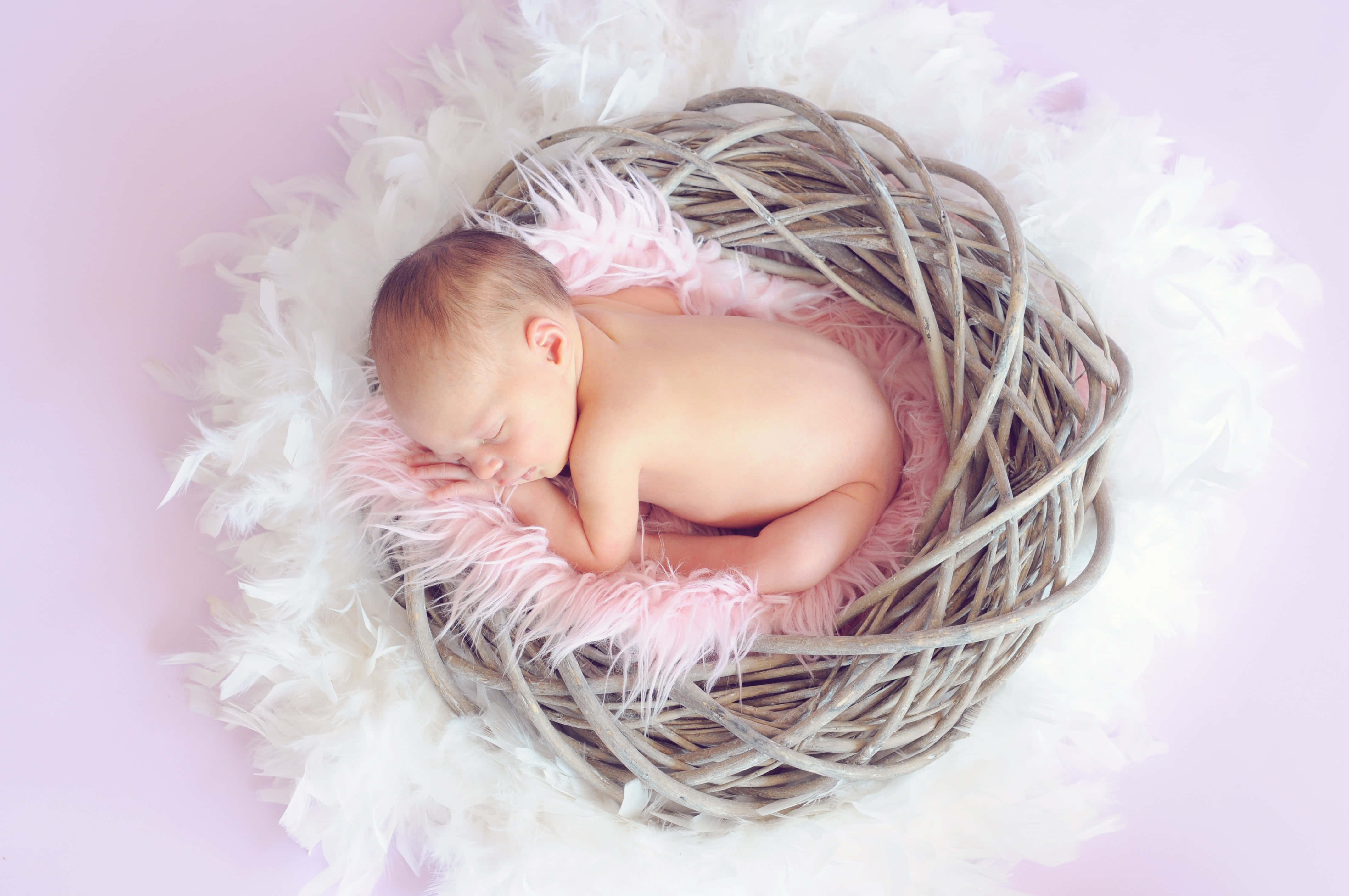 Baby Girl 桌布 壁紙 — 一個寧靜的新生兒蜷縮在一個編織籃子裡，籃子內襯柔軟的粉紅色和白色羽毛，背景是粉彩粉紅色。