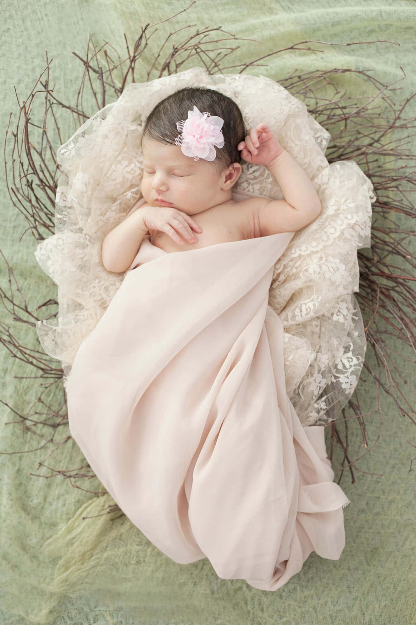 Newborn Baby 桌布 壁紙 — 一個寧靜的新生嬰兒被柔軟的粉紅色布料包裹著，安睡在一個綠色背景上、飾有蕾絲的樹枝巢中。