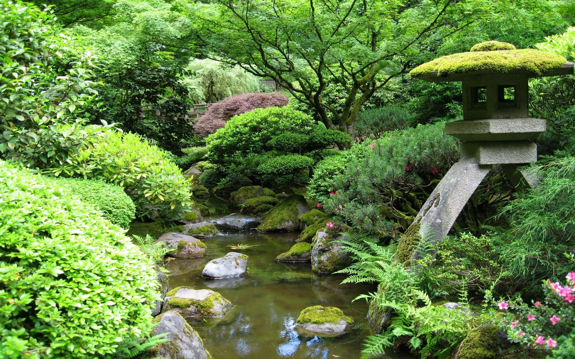 Samurai Garden 桌布 壁紙 — 一個寧靜的日本庭園，青苔覆蓋的石燈籠旁邊有一條寧靜的小溪流過茂密的綠植。
