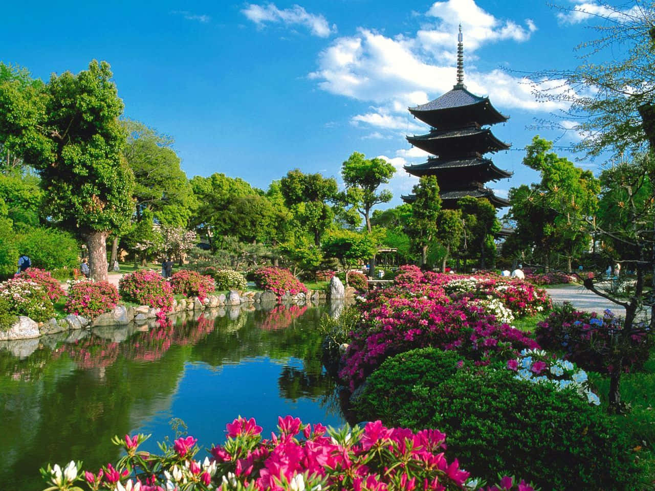 Spring Garden 桌布 壁紙 — 一個寧靜的日本花園，在明亮的藍天下，平靜的池塘倒映著多層寶塔，周圍環繞著充滿活力的粉紅色和白色花朵。
