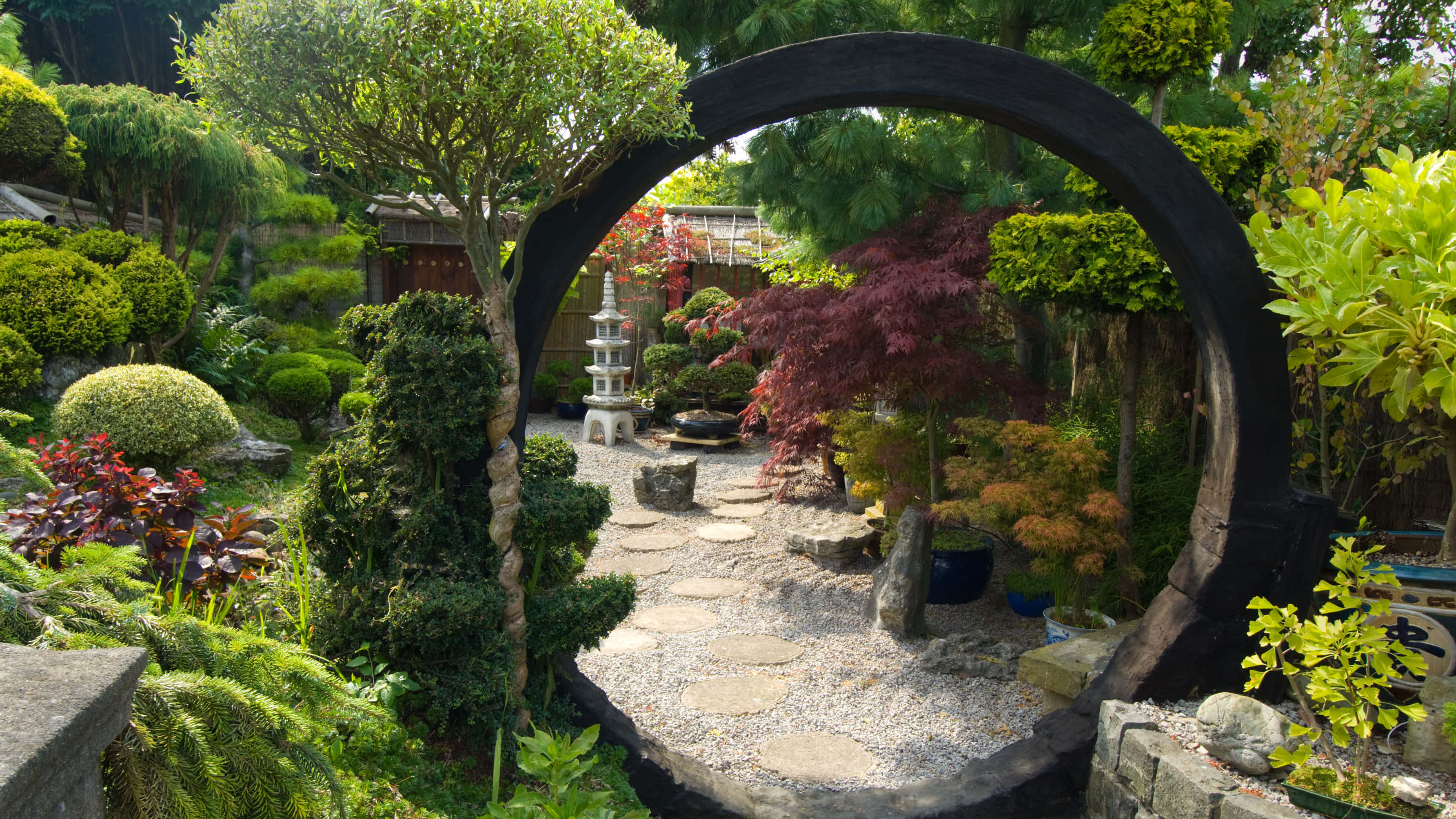 Garden Design 桌布 壁紙 — 一個寧靜的日本花園，由一個深色木拱門框著，露出一條蜿蜒穿過翠綠植物和紅楓樹的石徑。