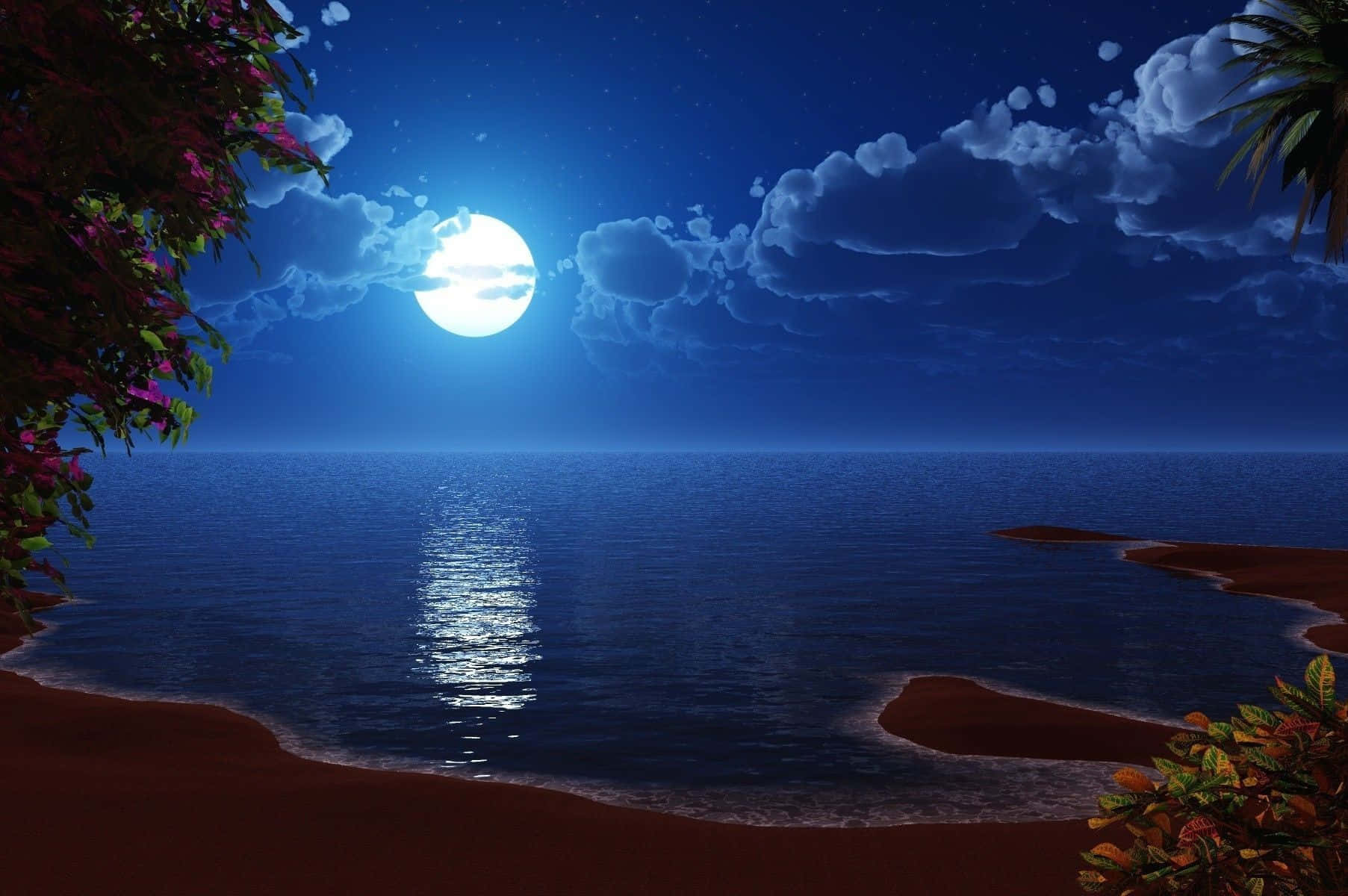 Beach Art 桌布 壁紙 — 一個寧靜的月光海灘場景，滿月在平靜的海面上投射出閃爍的光芒，周圍環繞著熱帶植物。
