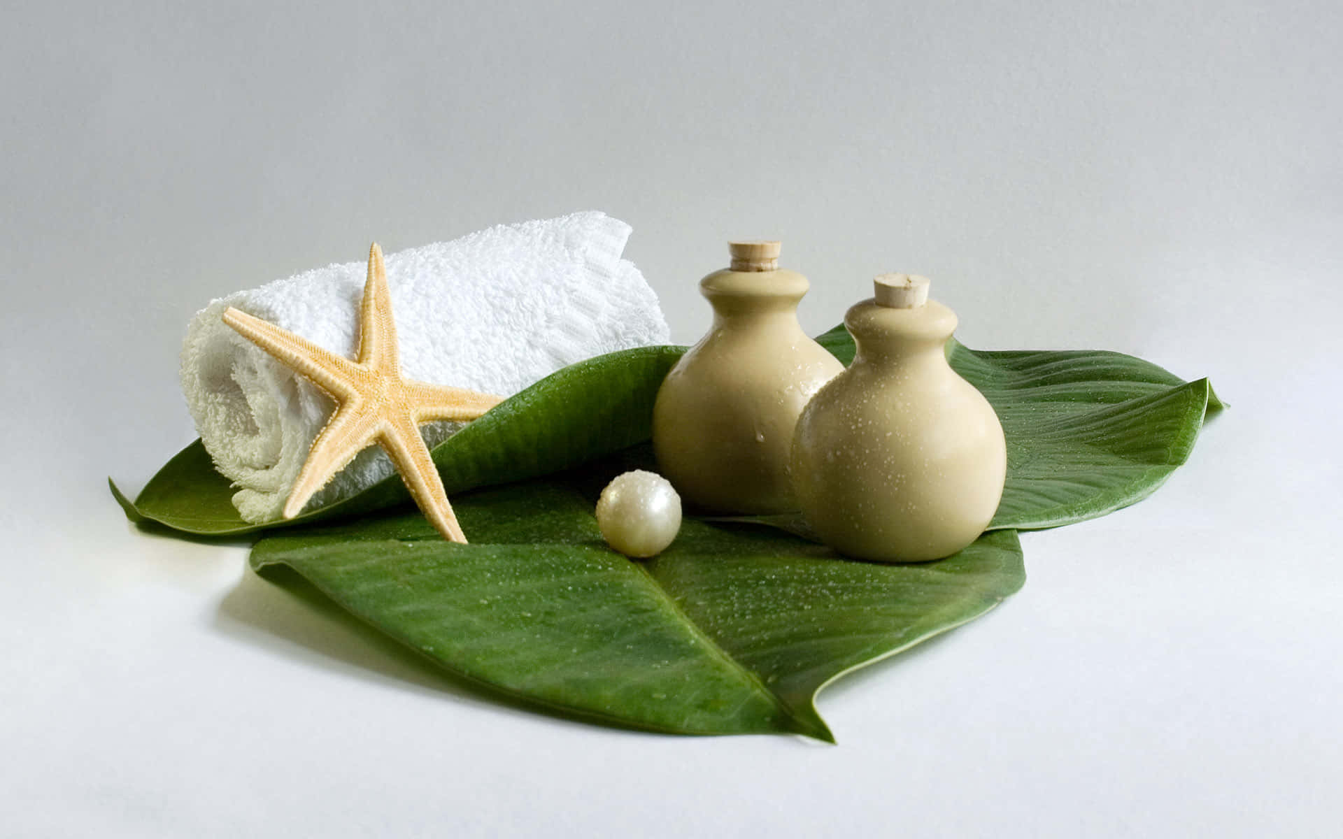 Spa Treatments 桌布 壁紙 — 一個寧靜的水療佈置，包括一條捲起的白色毛巾、海星、珍珠和陶瓶，放在大綠葉上，背景是柔和的白色。