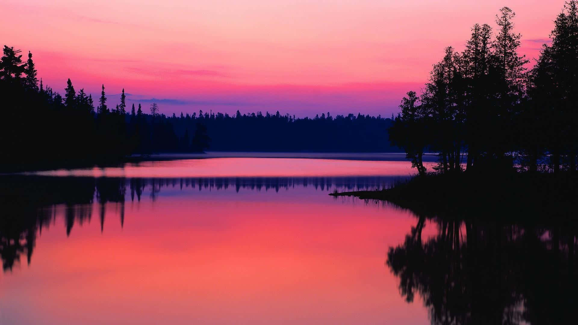 Pink Sky 桌布 壁紙 — 一個寧靜的湖泊倒映著火熱的粉紅色和紫色日落，剪影樹木排列在平靜的水面上。