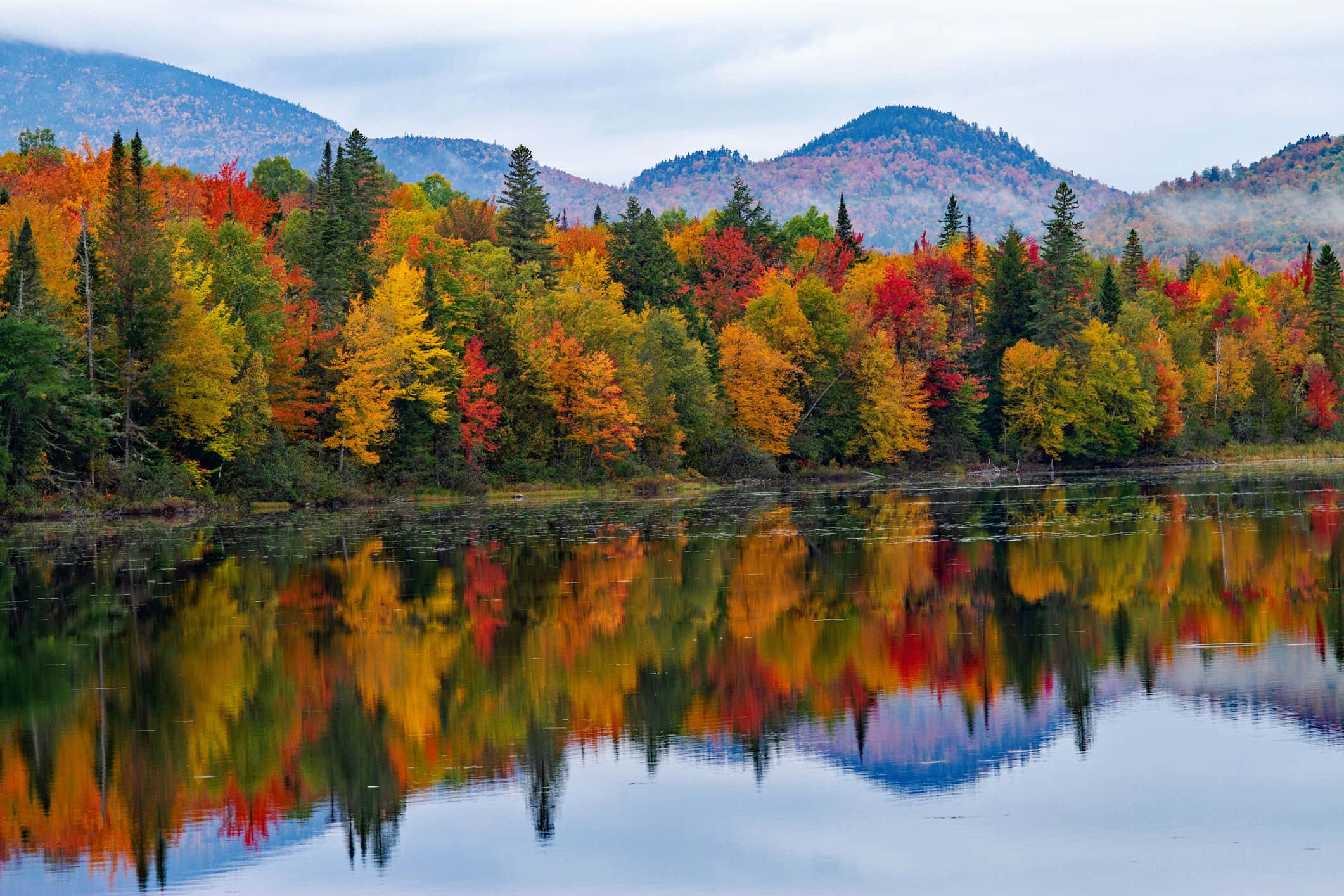 Fall Mountains 桌布 壁紙 — 一個寧靜的湖泊映照出充滿活力的秋日森林，火紅、金黃和橙色的樹葉在陰天多霧的山巒背景下閃耀。