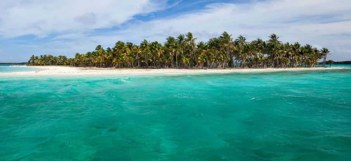 Bahamas Island 桌布 壁紙 — 一個寧靜的熱帶島嶼，擁有茂密的棕櫚樹和白色沙灘，周圍環繞著清澈碧綠的海水，天空部分多雲。