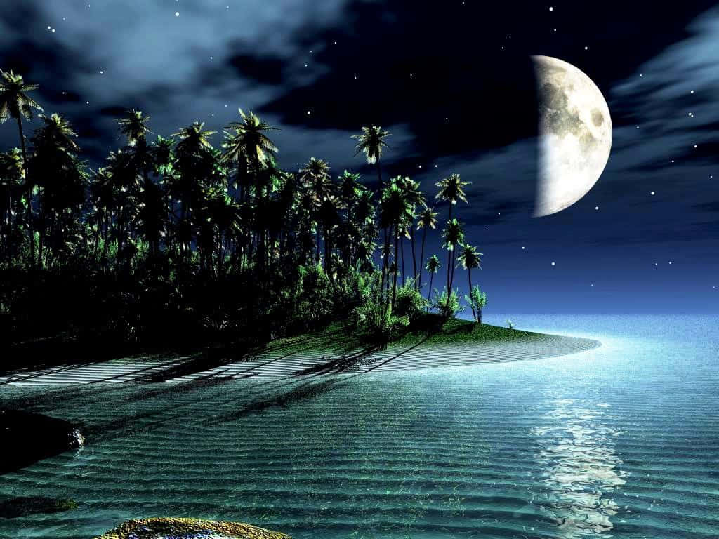 月光 桌布 壁紙 — 一個寧靜的熱帶島嶼夜晚，在閃爍的彎月下，棕櫚樹的剪影映襯著星空。