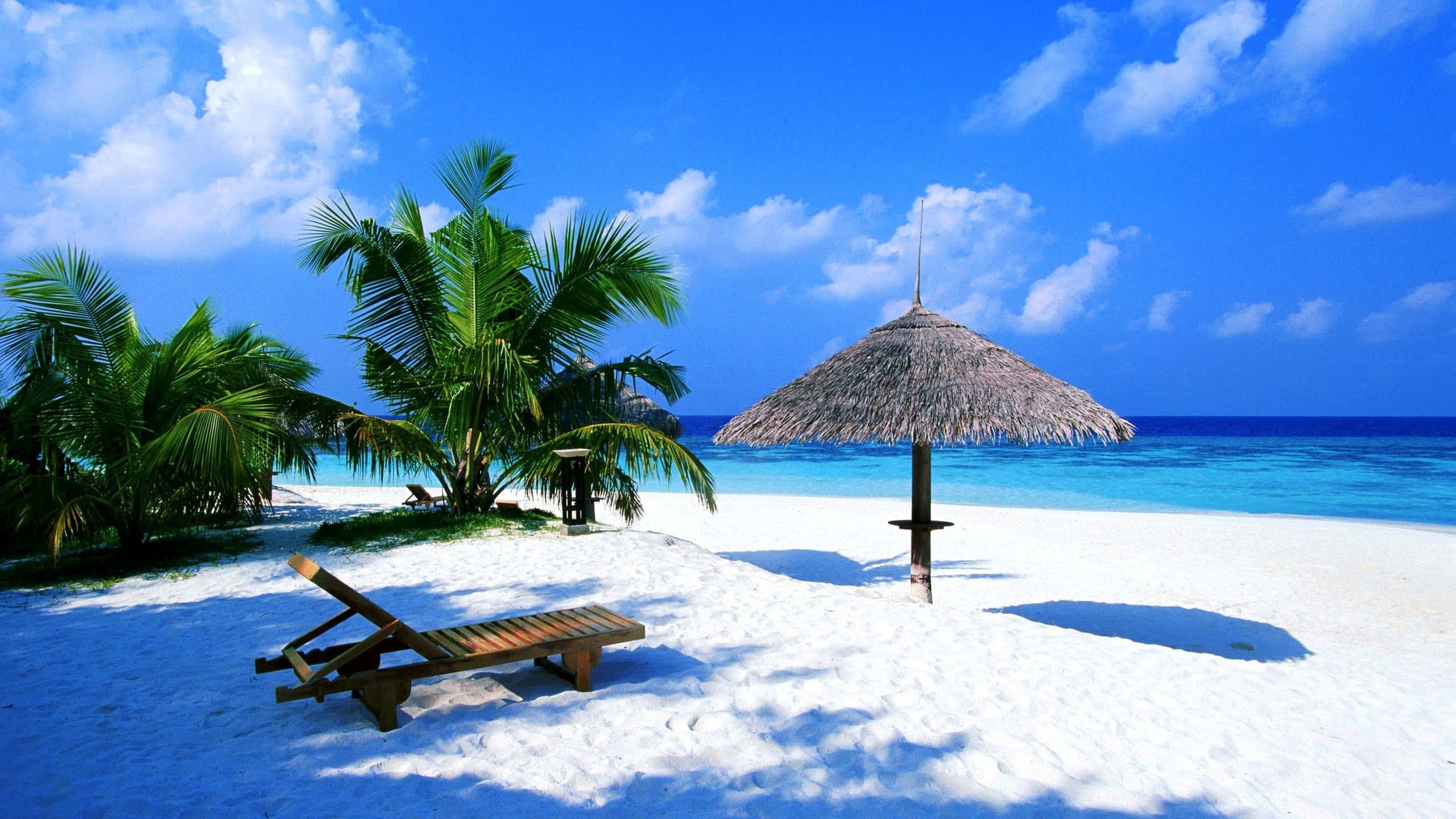 Beautiful Beach 桌布 壁紙 — 一個寧靜的熱帶海灘，有白色沙灘、碧綠海水、棕櫚樹和一個在明亮藍天下用茅草搭建的遮陽傘。
