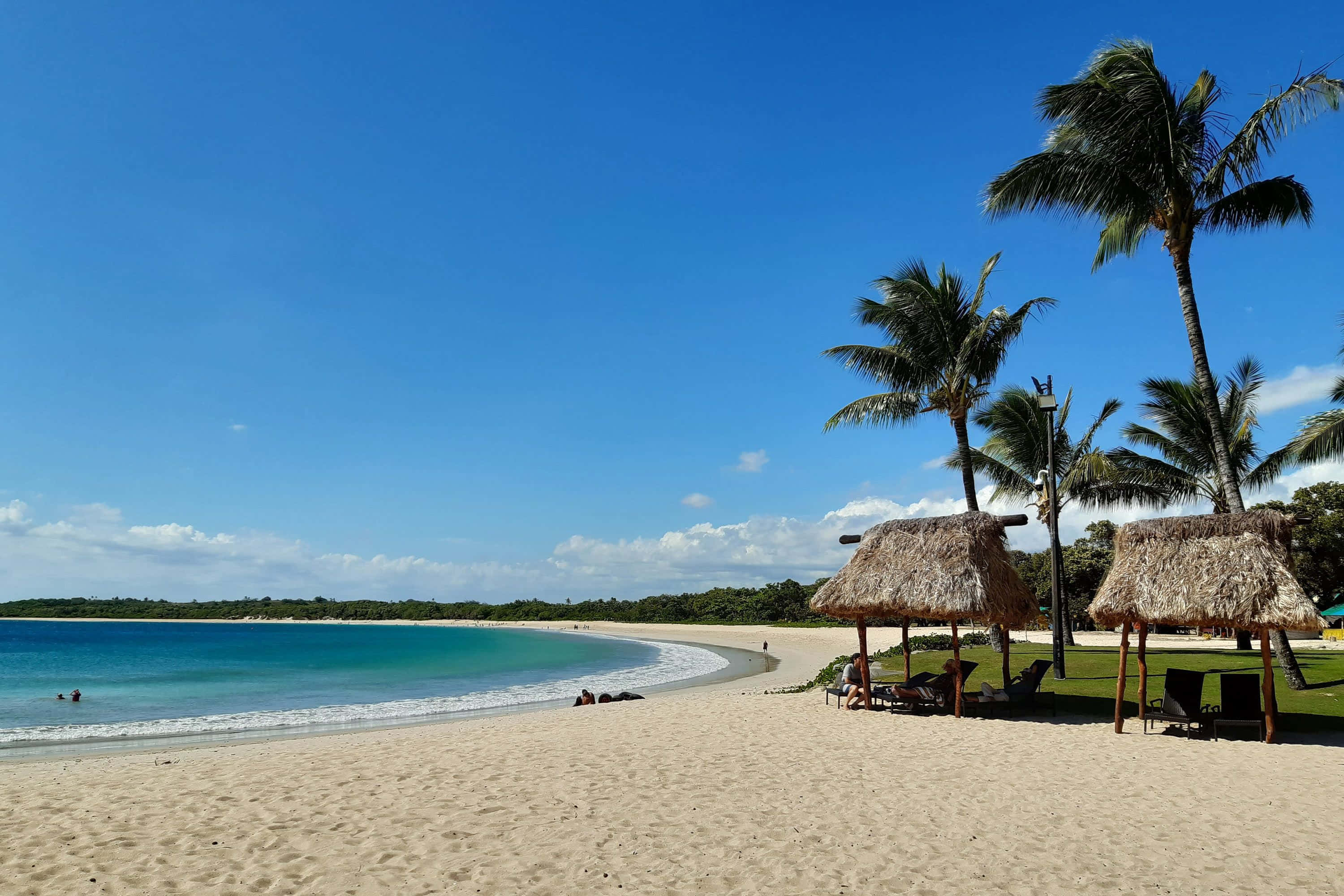 Fiji Beach 桌布 壁紙 — 一個寧靜的熱帶海灘，有白色沙灘、碧綠海水和棕櫚樹，在清澈的藍天下。