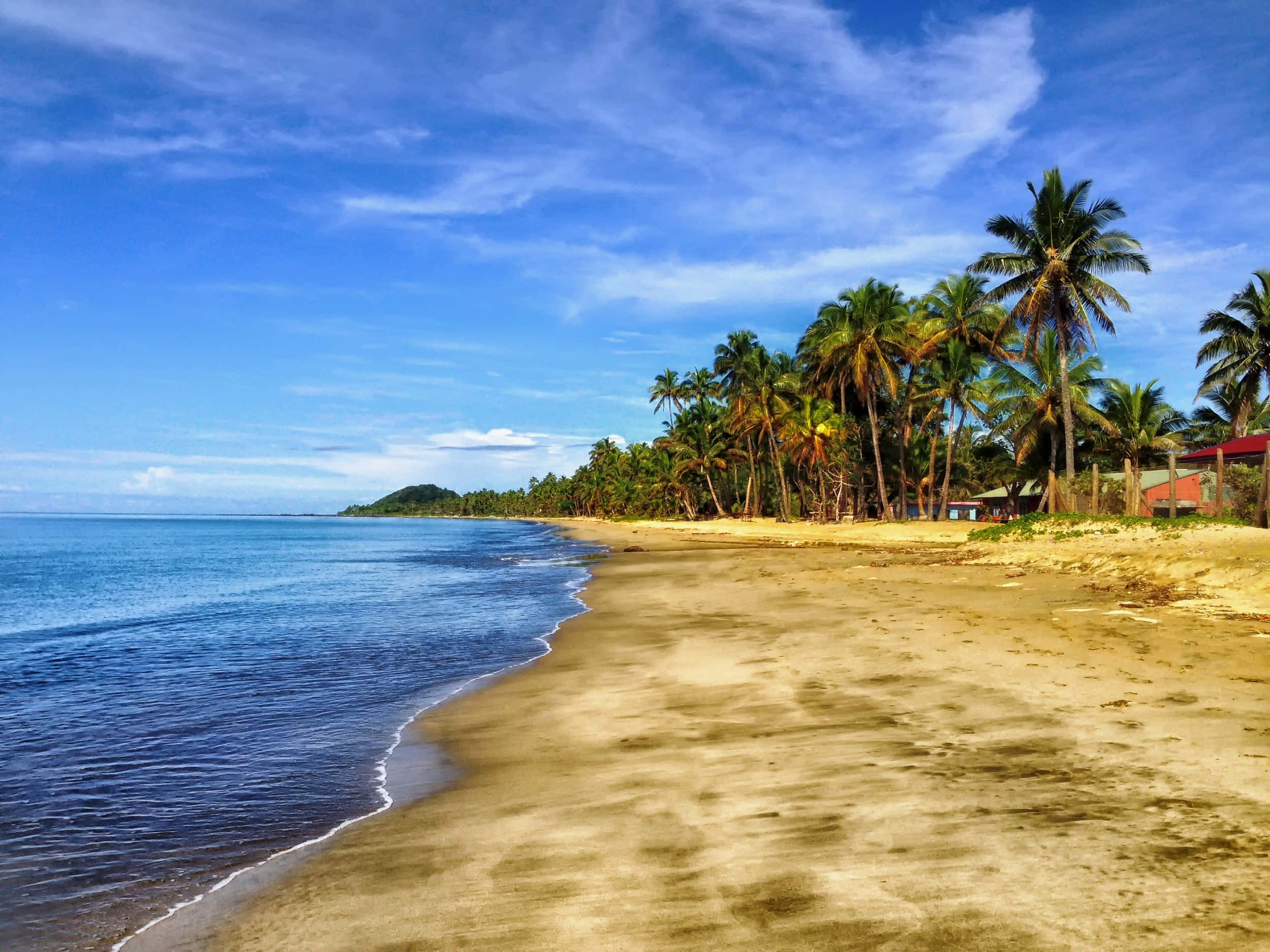 Fiji Beach 桌布 壁紙 — 一個寧靜的熱帶海灘，有金色沙灘、溫柔的海浪和棕櫚樹在明亮的藍天下搖曳。