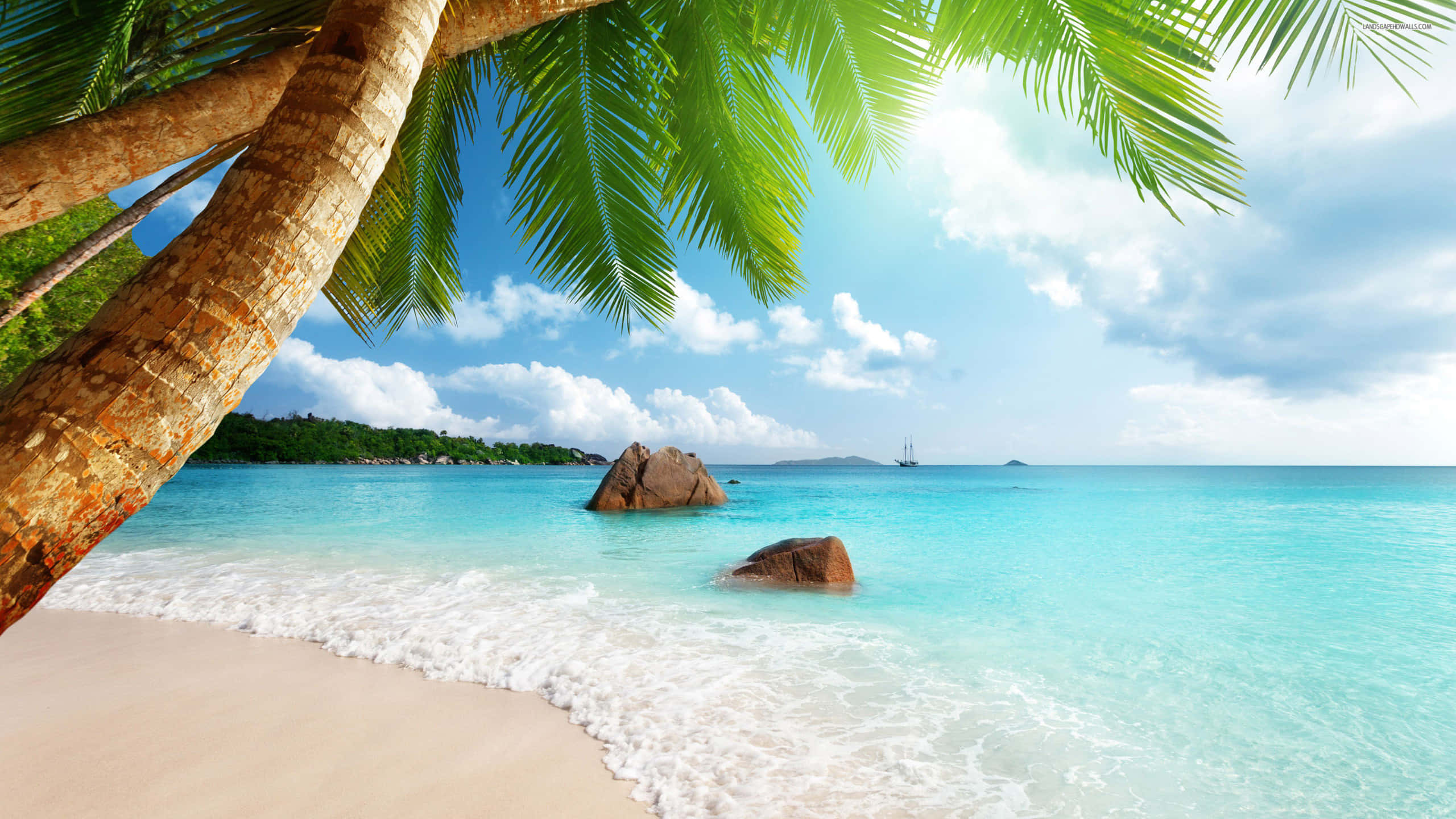 Beautiful Beach 桌布 壁紙 — 一個寧靜的熱帶海灘，碧綠的海水、溫柔的海浪，棕櫚樹在明亮的藍天下框住景色。