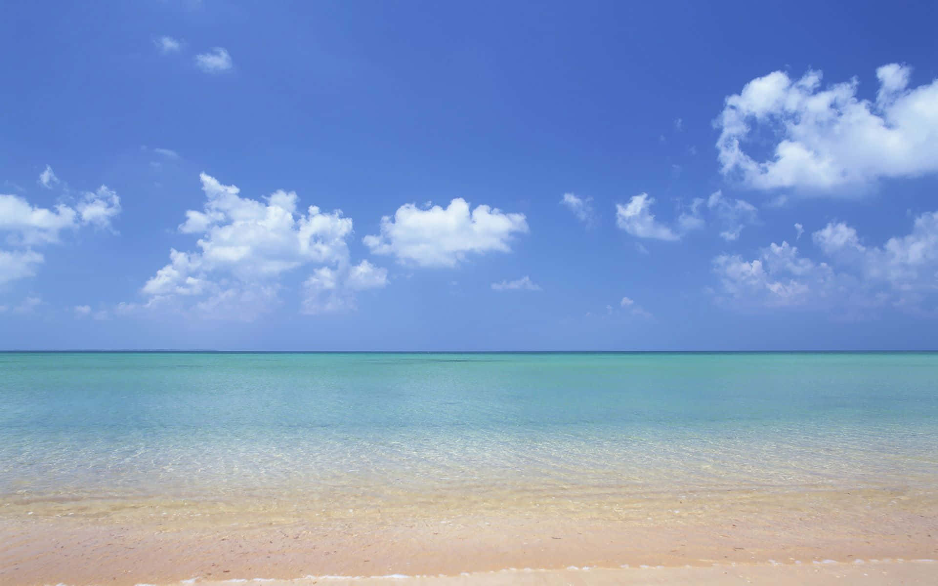 Hawaiian Beach 桌布 壁紙 — 一個寧靜的熱帶海灘，碧綠的海水輕輕拍打著金色的沙灘，廣闊的藍天點綴著蓬鬆的白雲。