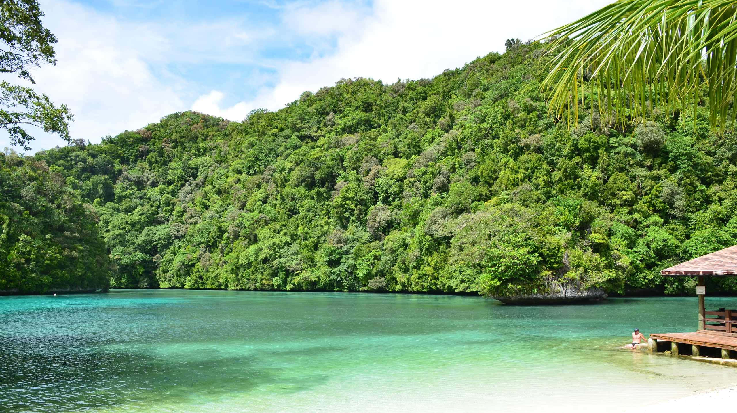 Eco-tourism 桌布 壁紙 — 一個寧靜的熱帶潟湖，清澈碧綠的海水被茂密的綠色山丘環繞，木製碼頭上有人在放鬆。