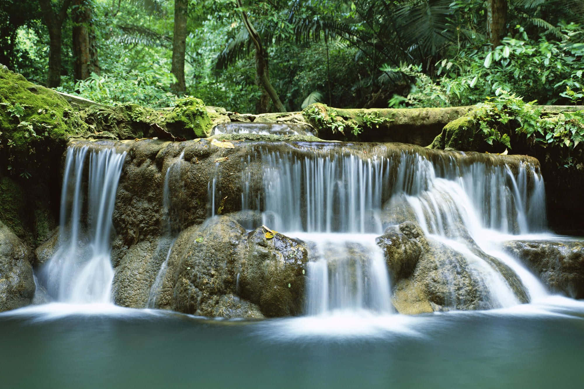 3d Waterfall 桌布 壁紙 — 一個寧靜的熱帶瀑布，流過長滿苔蘚的岩石，落入一個被茂密綠色叢林葉子包圍的平靜水池。