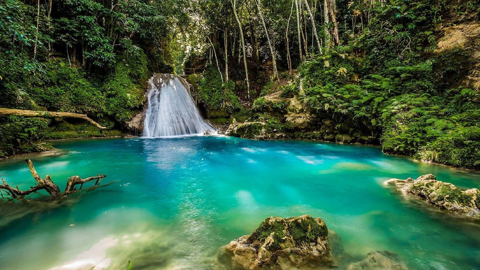 Jamaica 桌布 壁紙 — 一個寧靜的熱帶瀑布傾瀉而下，流入一個充滿活力的碧綠色水池，四周環繞著茂密的綠色叢林植被。