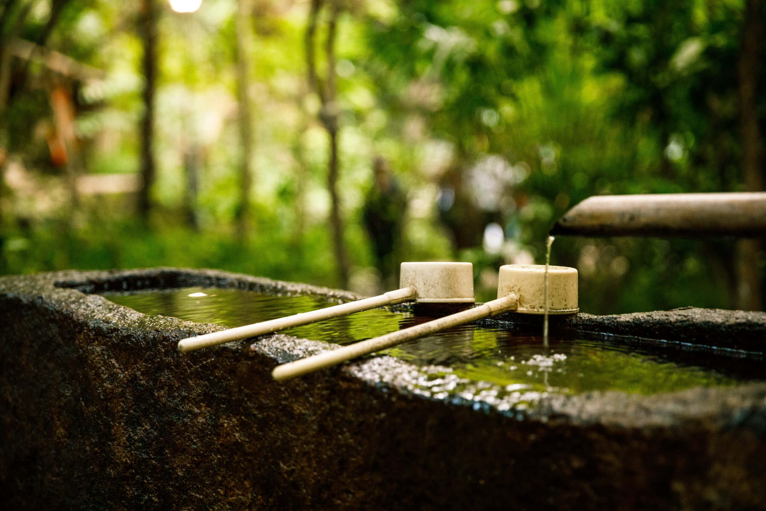 Reiki 桌布 壁紙 — 一個寧靜的石水盆，位於茂密的綠色森林中，有木勺子，水滴入盆中。
