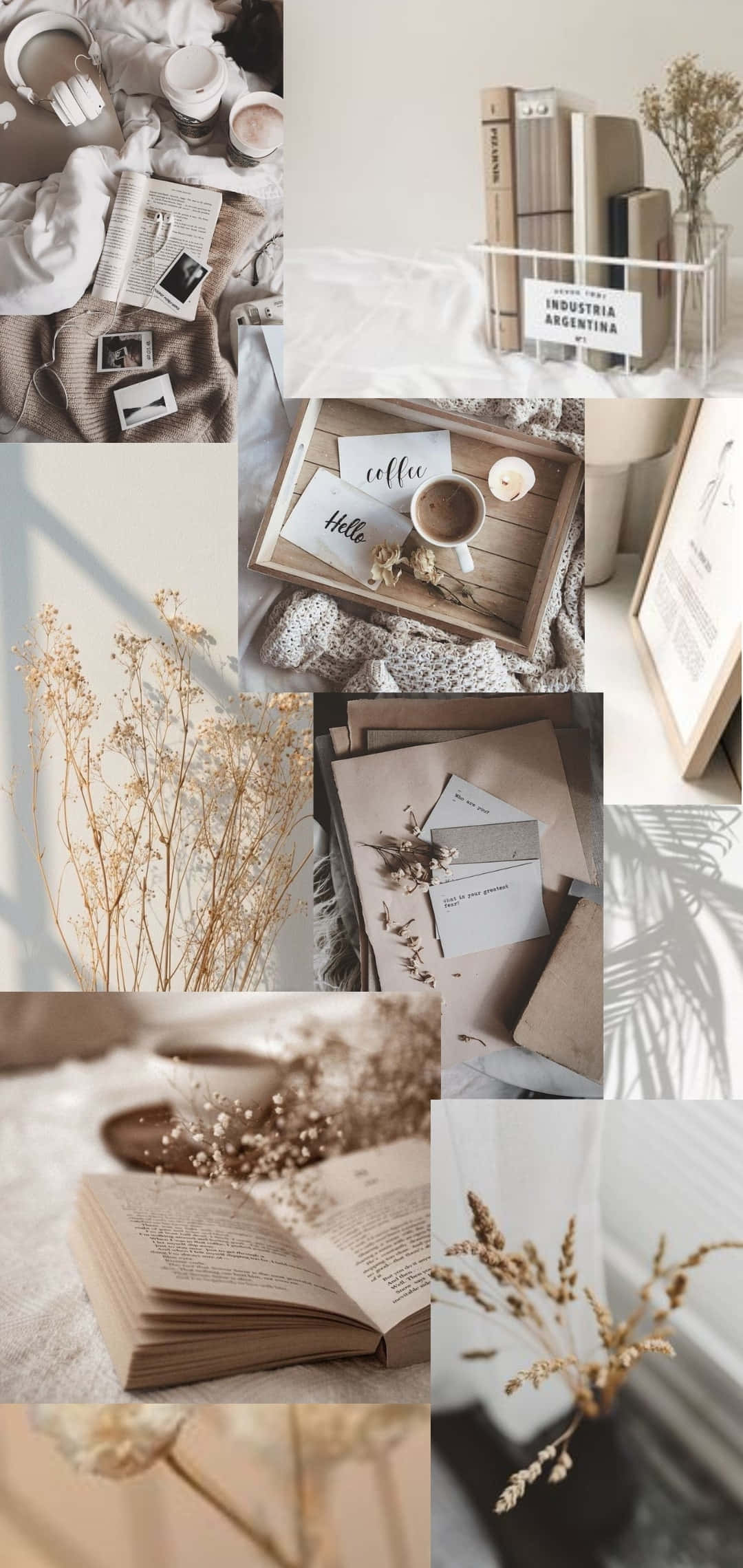 Korean Beige Aesthetic 桌布 壁紙 — 一個寧靜的米色調拼貼畫，描繪舒適的閱讀角落，配有書籍、乾花和咖啡時光，沐浴在柔和自然光中。