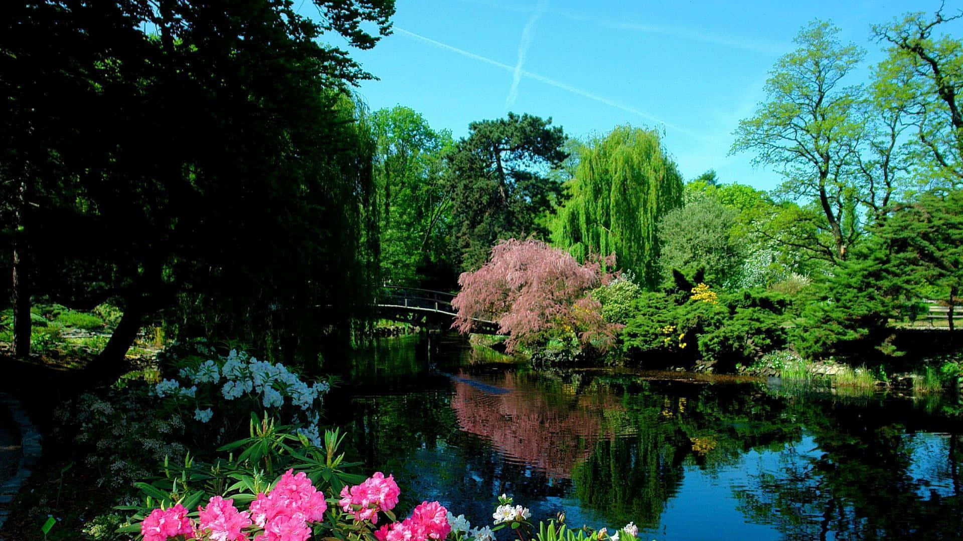 Picturesque 桌布 壁紙 — 一個寧靜的花園池塘倒映著鮮豔的粉紅色花朵和茂密的綠色樹木，天空清澈湛藍，有飛機尾跡。