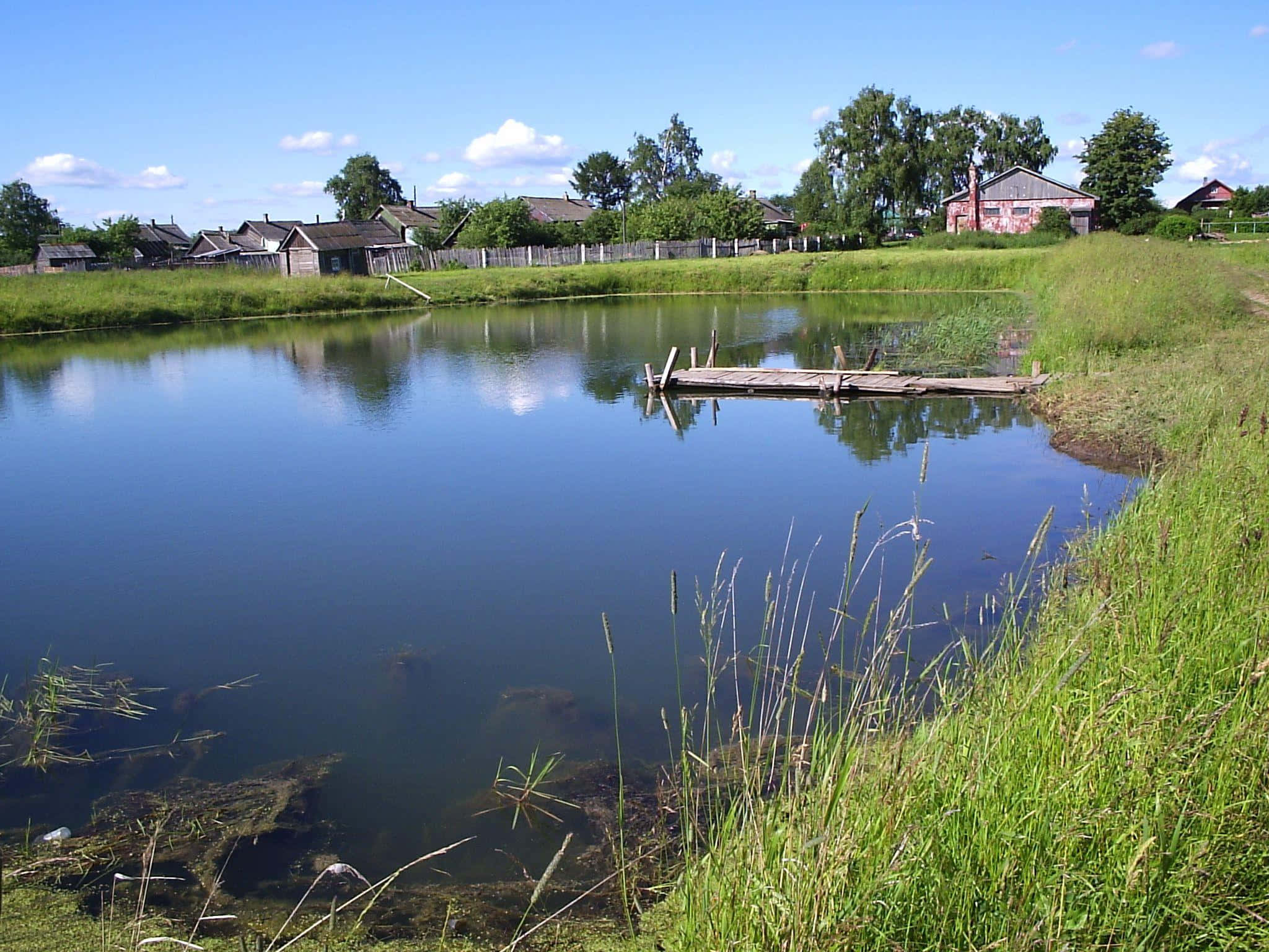 Pond 桌布 壁紙 — 一個寧靜的鄉村池塘，周圍環繞著茂密的綠草和古老的木屋，在明亮的藍天和零星白雲下。
