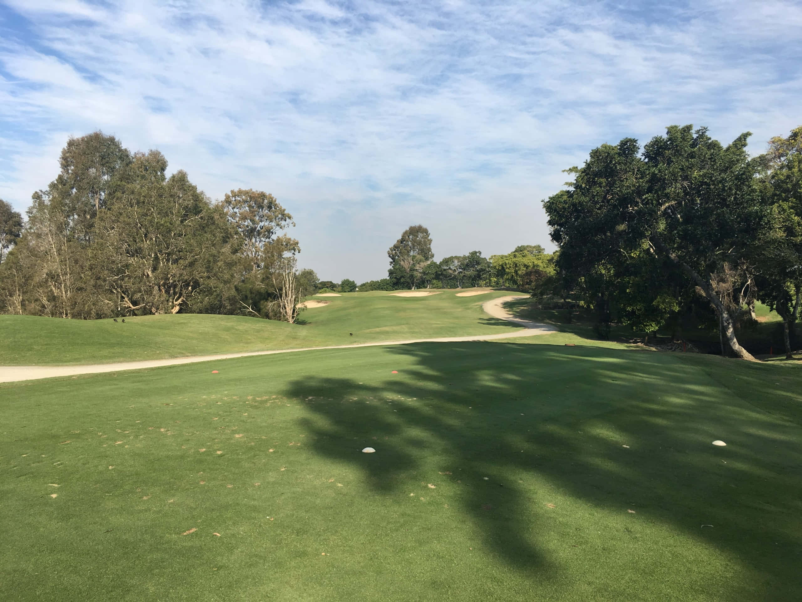 Golf Green 桌布 壁紙 — 一個寧靜的高爾夫球場，翠綠的球道蜿蜒穿過高大的樹木，上方是明亮的藍天，點綴著縷縷白雲。