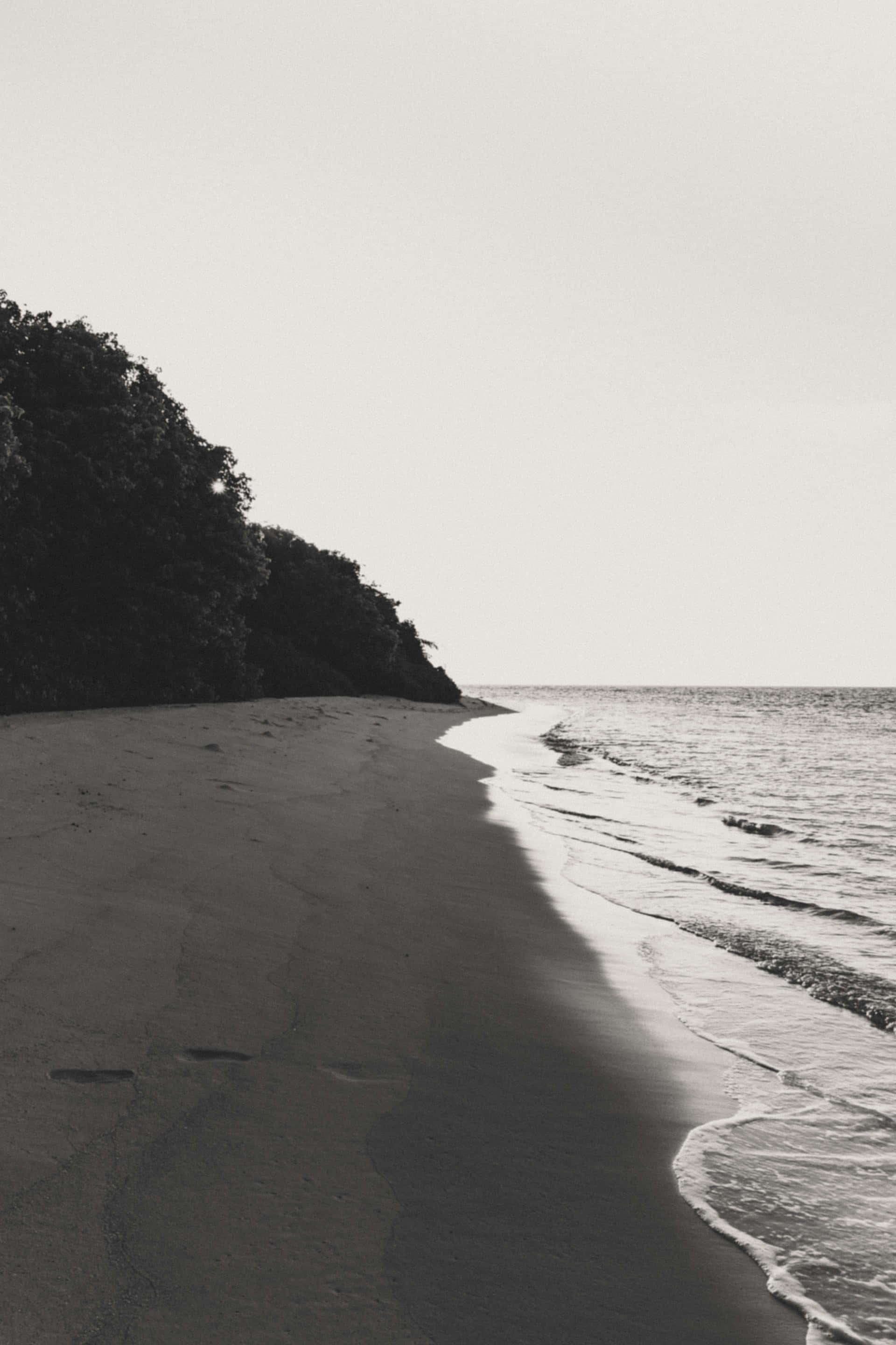 Black And White Beach 桌布 壁紙 — 一個寧靜的黑白海灘場景，溫柔的海浪拍打著岸邊，旁邊是陰暗的森林懸崖。