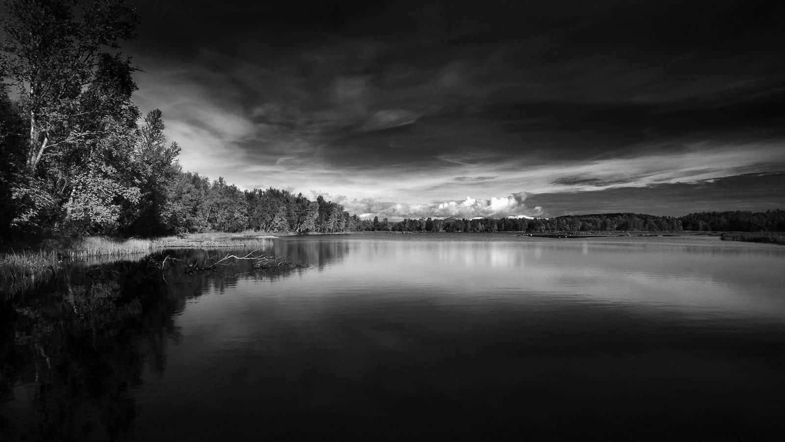 Black And White Landscape 桌布 壁紙 — 一個寧靜的黑白湖泊映照出陰暗的暴風雲和枝葉茂密的樹木，天空充滿戲劇性。