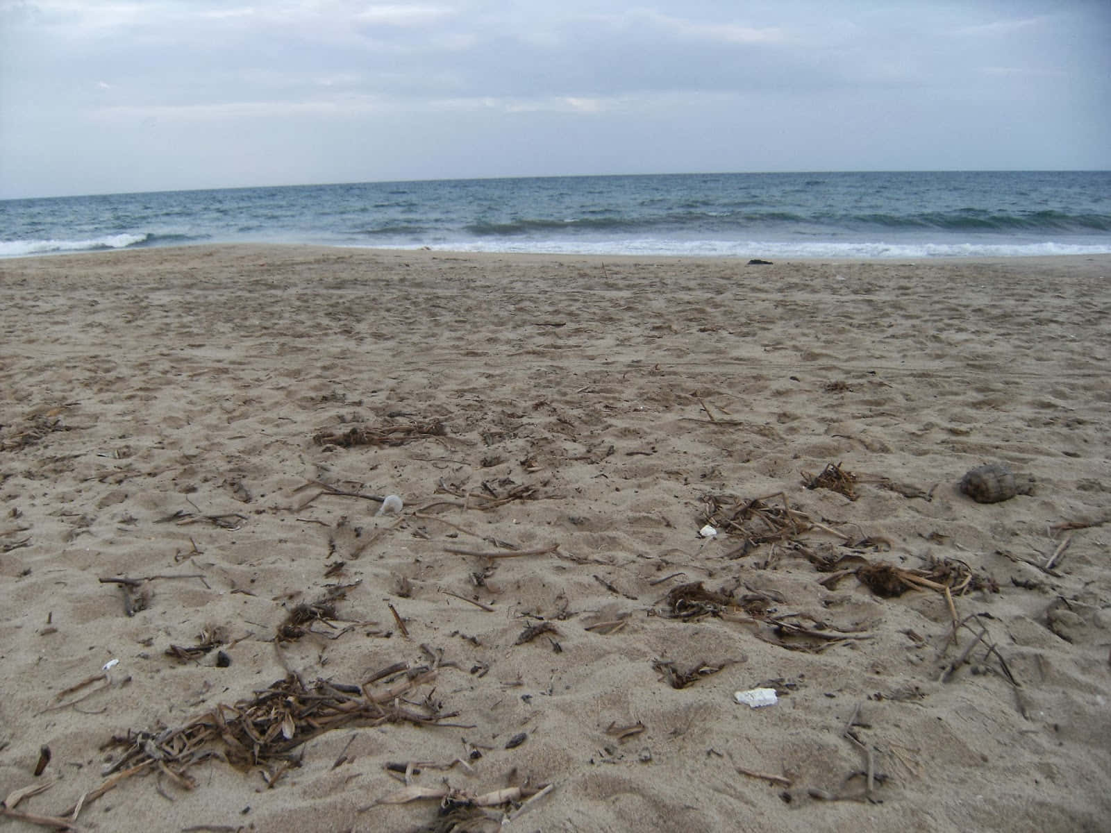 Beach Sand 桌布 壁紙 — 一個寬闊的沙灘，散落著浮木和垃圾，天空多雲，溫和的海浪緩緩湧入。