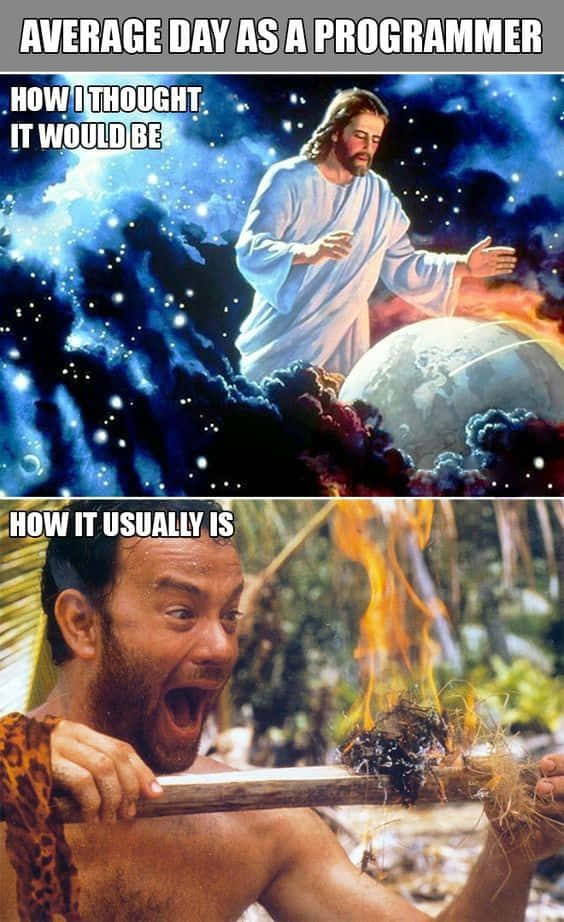 Technology Humor Memes 桌布 壁紙 — 一個將神聖編程期望與混亂叢林生存現實進行對比的迷因。