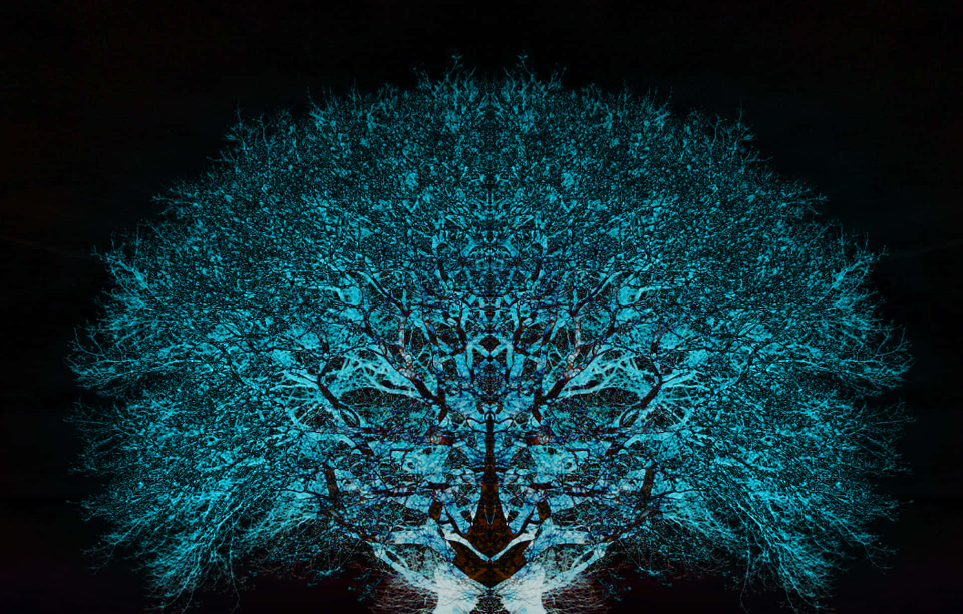 Psychedelic Fractals 桌布 壁紙 — 一個對稱的青色樹木剪影，帶有複雜的樹枝，在黑色背景上形成發光的曼陀羅。